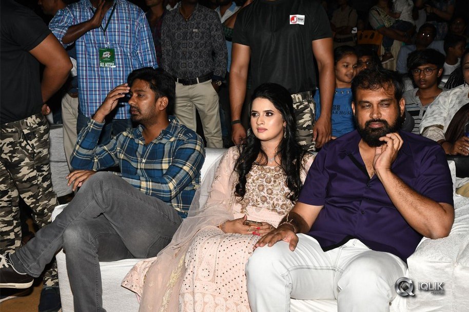 Naa-Peru-Surya-Naa-Illu-India-Pre-Release-Event-Photos